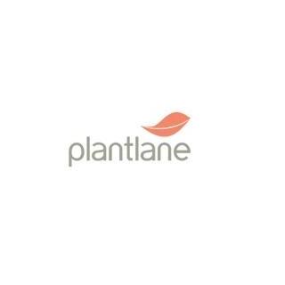 Plantlane Limited